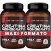 T-Rex Integratori Creatina Monoidrato Micronizzata Polvere Supporto Ma