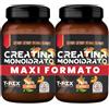 T-Rex Integratori Creatina Monoidrato Micronizzata Polvere Pesca Suppo