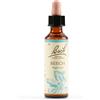 Schwabe Pharma Italia Beech Essenze Fiori Di Bach Rimedio Fitoterapico Gocce 20ml