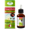 RENACO ITALIA R.I. GROUP Srl CITOYANG CORBEZZOLO GOCCE 50ML