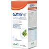 avd gastrophit 500 ml