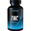 self omninutrition zinc 100 tabs