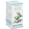 vegetal progress gin-ke-tze 80 tav
