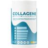 ethic sport collagene 400 gr limone