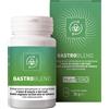veronatura gastroblend 30 cpr