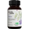 french mush chaga 56 cps