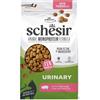 Schesir Cat Adult Urinary Animal Monoprotein Formula Prosciutto - Schesir - Cat Adult Urinary Animal Monoprotein Formula Prosciutto - 400GR