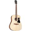 Ibanez Acoustic guitar / V40OPN Standard