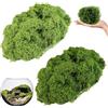 VIVIIHOO Muschio Artificiale 100g, Muschio Decorativo per acquari, pareti e Decorazioni Natalizie, Muschio Artificiale Reale per Le Foto di Muschio, Decorazione con Muschio Finto (Verde)