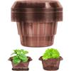 Bocguy Collare per lumache, 15 pezzi, stabile recinzione per lumache in plastica, per aiuola rialzata, da giardino, riutilizzabile, repellente per insalata, cavolo e piante giovani, marrone