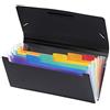 Viquel Rainbow Class - Raccoglitore a fisarmonica da scrivania, 6 posizioni, organizer da scrivania espandibile, formato asseco in plastica