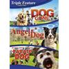 Echo Bridge Triple Feature: Family Films (DVD) Jon Michael Davis Farah White French Stewart