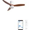 CREATE / WINDCALM S/Ventilatore da soffitto ABS con luce bianco pale effetto legno scuro con Wifi e telecomando / 40W, Temporizzatore, Ø112 cm, 3 temperature di luce, funzione estate-inverno
