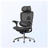 SIHOO Doro C300 V2 Sedia da Ufficio Ergonomica, Sedia da Scrivania in Rete con Braccioli 8D e Supporto Lombare Girevole, Sedia da Computer con Poggiatesta 3D, Inclinazione per l'Ufficio Domestico