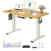 FLEXISPOT Scrivania Regolabile in Altezza, Doppio Motore, Scrivania Ergonomica da Ufficio con Piano Unico da 25 mm 120x80 cm, Gestione Cavi, Funzione Memory e Display Altezza