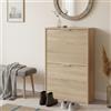 Dmora - Scarpiera Valdosta, Portascarpe salvaspazio a 2 ante, Scarpiera da ingresso, Armadio scarpiera, 50x22h76 cm, Rovere