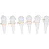 TICFOX 6 Pezzi Pali per Irrigazione delle Piante Kit Set di Punte per Irrigazione Automatica Autoirrigante Bianco