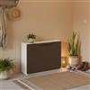 Dmora - Scarpiera Gouvry, Porta Scarpe salvaspazio, Scarpiera da Ingresso, Armadio scarpiera a 1 Anta, 100% Made in Italy, 51x17h40 cm, Tortora e Bianco