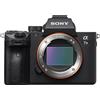 SONY ALPHA 7 III + SEL FE 24-105mm f/4 G OSS