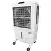 Master BC 80 - Raffrescatore evaporativo ad acqua - Serbatoio 100 lt