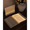 PZSUNLY Luce da Lettura per Libro, Lampada da Lettura con Timer,Bianco | Lampada Led Ricaricabile, LED HD Pannello,Dimmabile,3 Temperatura di Colore, Luce Lettura Libro Notturna per Letto e Divano