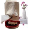 Generic Scatola porta fazzoletti - Scatola per fazzoletti, dispenser creativo e divertente per starnutire tovaglioli, organizer decorativo a forma di naso, elegante scatola portaoggetti per bagno, scrivania,