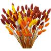 CEWUDA 100 Pezzi Mazzi Fiori Secchi Autunnali Erba di Pampas Essiccata Naturali Fiori Secchi Decorativi Bouquet Fiori Essiccati per Interno Home Matrimoni Feste Boho Decor