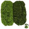 Meleager Muschio Stabilizzato Artificiale, 100g Muschio Artificiale Decorazioni, Sintetico Muschio Finto, Verde Scuro Chiaro, per Giardino, Pasqua, Pareti, Matrimoni, Feste, DIY Decorare