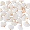 PH PandaHall 30pz Ciondoli Conchiglie Naturali Bianco 26~31mm Conchiglie da Spiaggia Mare e Oceano per Gioielli Estivi Orecchini Bracciali Collane Artigianato Fai Da Te