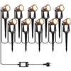 LONIUTO Illuminazione da Giardino con Alimentazione, 3W*10 Pezzi Proiettori LED Esterni Impermeabili, 32M/27V Illuminazione da Giardino Bianco Caldo 3000K per Prati, Alberi, Aiuole (Confezione da 10)