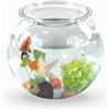 Mobiclinic® pets, Boccia per pesci, Rotondo, Nemo, 4 litri, Plastica pet eco, Design trasparente, 20x20x17, 5cm, Facile pulizia, Resistente, Ideale la decorazione domestica, Erbe acquatiche
