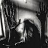 Behind the Shadow Drops H a R M O N I C (CD) Album