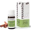 Pranarom In Ceylon Cinnamon Essential Oil 5Ml Bio. by Pranarom