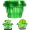 Bocguy 10 colletti per lumache, anello di protezione per lumache, per piante da insalata e cavoli, anelli di protezione per lumache, possono essere aggiunti al cappello per piante per creare una mini casa