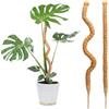 Bamworld Palo di muschio 2 pezzi da 69,8 cm per supporto per piante Monstera Coco Coir Plant Support per piccole piante rampicanti in vaso per crescere verso l'alto