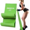 PROIRON Bande Elastiche Fitness 1,5M, Fascia Elastica Esercizi con 4 Livelli di Resistenza per uomo e donna, Banda Elastica per pilates, yoga, stretching, allenamento (Verde)