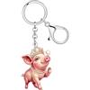 RAIDIN Simpatico portachiavi rosa a forma di maiale da fattoria, regalo per gli amanti degli animali, Principessa, medium size