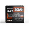 HumsiENK Batteria LiFePO4 12V 20Ah, 6000+ Cicli, 10 Anni di Durata, Leggera 2,6 kg, 181x77x167 mm, BMS Integrato, per Campeggio, Camper, Pescata, Furgone Alimentare, Solare, Emergenza Casa