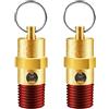LSTOPGO 2 pezzi 1/4 '' maschio NPT compressore d'aria valvola limitatrice pressione valvola di sicurezza in ottone compressore d'aria valvola di ritegno (150 PSI)