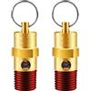 LSTOPGO 2 pezzi 1/4 maschio NPT valvola di sicurezza valvola di sicurezza valvola limitatrice pressione compressore aria valvola di ritegno serie AX (200 PSI)