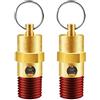 LSTOPGO 2 pezzi 1/4 '' maschio NPT compressore d'aria valvola limitatrice pressione valvola di sicurezza in ottone compressore d'aria valvola di ritegno (125 PSI)