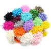 Snner 288pcs Perla Flower Stamen Multi Colors Doppia teste Pistil 3mm Pistillo Decorazione torta