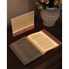 PZSUNLY Luce da Lettura per Libro, Lampada da Lettura con Timer,Rosa | Lampada Led Ricaricabile, LED HD Pannello,Dimmabile,3 Temperatura di Colore, Luce Lettura Libro Notturna per Letto e Divano