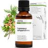 Aroma Labs Cipresso di Provenza BIO (Cupressus sempervirens) - 30 mL - Olio Essenziale Chemiotipizzato e Certificato AB - Aroma Labs - Made in France