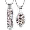 VCCWYQK Gioielli per l'incenerazione delle ceneri - Collana con ciondolo a goccia per ceneri per donne con urna portafortuna vuota, medaglione memoriale, gioielli per ceneri, one size, Acciaio