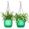 Bamworld Vasi Appesi per Piante da Interno, Vasi con Autoirrigazione e Foro di Drenaggio, 2 Pezzi, 16,5 cm, Portavasi da Esterno con 2 Ganci a Catena, per Piante Ragno, Smeraldo