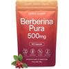 Sacred Summit Berberina Pura 500 mg Alta Concentrazione, Estratto 10:1, 90 Capsule | Equivalente a 5000 mg, vegano, senza OGM, senza additivi