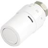 Danfoss 013G6080 Elemento Termostatico Rax-k, Bianco