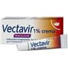 Perrigo Vectavir 1% - Crema Per Il Trattamento Dell'Herpes Labiale 2 gr