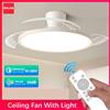 IRALAN Ventilatore da soffitto moderno IRALAN con luce LED, motore DC, grande volume d'aria, telecomando per camera da letto e sala da pranzo